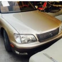 RXosIfeFniot27l's profile picture. 