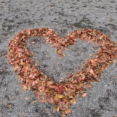 mcyashm's profile picture.