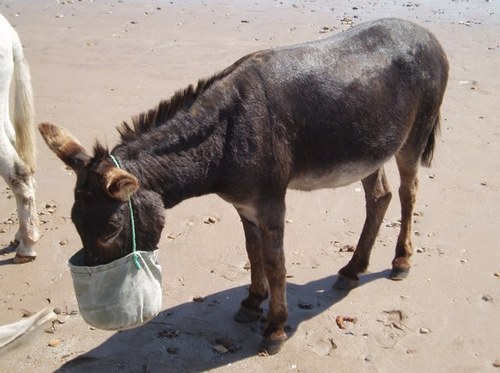 alisoncstarr's profile picture. Living on Anaiwan land. Views my own. Looking for my healthcare improvement tweets? Head to @ImproveAdvisor. Also on mastodon acstarr@aus.social.