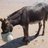 alisoncstarr's profile image