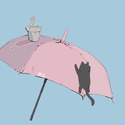 にゃんたろうさんのプロフィール画像