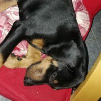Wally (@wallynobp) 's Twitter Profile