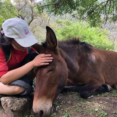 xingya1629's profile picture. 青年詩人，現居北京。著有詩集《動物異志集》、《槲寄生的分行書》。
單人無後援徒步横穿巴丹吉林沙漠、騰格里沙漠、深入喜馬拉雅山希夏邦馬東南坡、珠峰東坡、橫斷山脈他念他翁、伯舒拉嶺山脈、梅里雪山北坡腹地荒原。