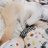 ひーたんもーたん犬 U∵U🍀U∵Uのアイコン