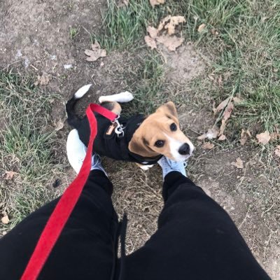 EricNotor's profile picture. Software Engineer