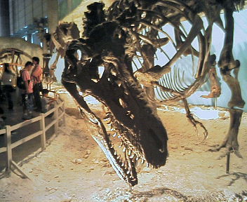 げんかくかんさ