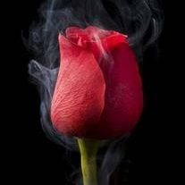 jaime_raquer's profile picture. salut comment vous allez