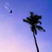 Everything Goa (@everything_goa) Twitter profile photo Everything Goa (@everything_goa) Twitter profile photo
