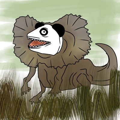 パンダこ🐼🦎さんのプロフィール画像