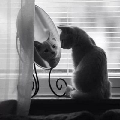 megi9147's profile picture. megi