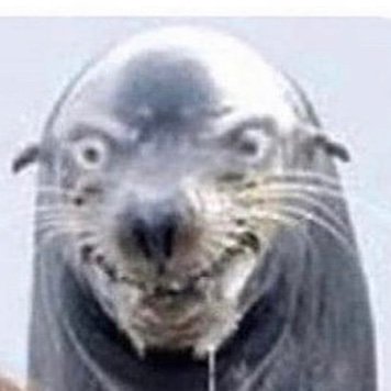 “Please update bio, you’ve been 18 for 3 years”