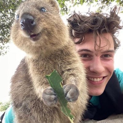 barb_mendesarmy's profile picture. @shawnmendes ❤️