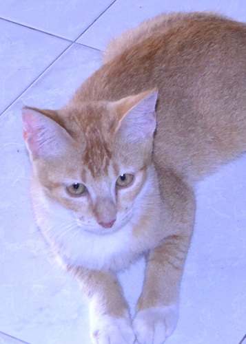 Jamesz8's profile picture. 