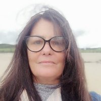 DeeFullerton (@hsrinsights) 's Twitter Profile