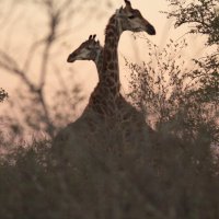 BenFletcher93 (@benfletcher93) 's Twitter Profile