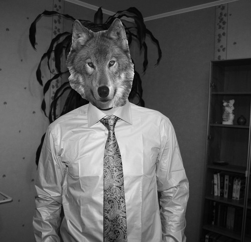 max_kiselyov's profile picture. 