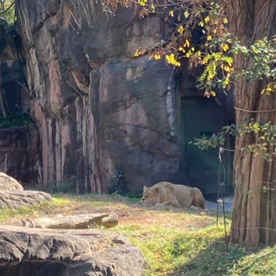 日本の地方分権、各地の活性化について、考え、取り組んでいます。これから多極、地方分散の時代。多様性ある日本のカラーを活かしたい。守りたい。Twitterでは様々な各地の動きについて、呟いていきます。