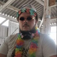 Icy (@icy_hs) 's Twitter Profile