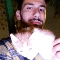 onur.aly (@onuralayy) 's Twitter Profile