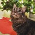 Maggie the MessMaker 🎄 (@breezertherogue) Twitter profile photo Maggie the MessMaker 🎄 (@breezertherogue) Twitter profile photo