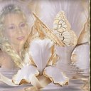 Tina Lee Coe - @seXyXtina1 - Twitter