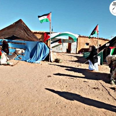 Hija del desierto y ex refugiada. #SaharaLibre 🇪🇭