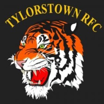 Tylorstown mini junior rugby