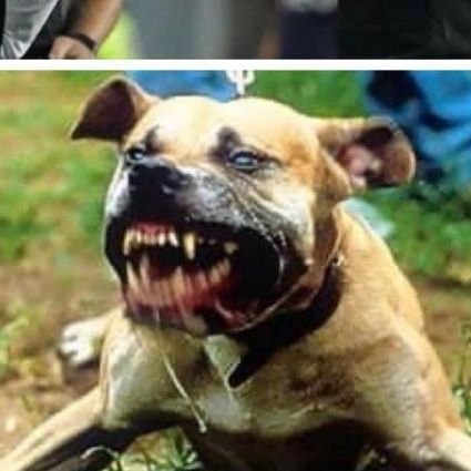 ManuelN11451661's profile picture. 