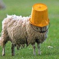yol yabdı (@yol__yabdi) 's Twitter Profile