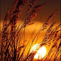 By Can 🇹🇷 (@boraltankoprusu) Twitter profile photo