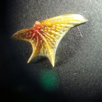 FILALI Tahar (@filalitahar2) 's Twitter Profile
