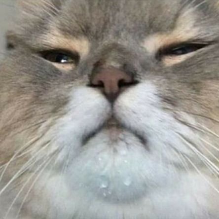 ZachMerrill12's profile picture. 