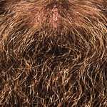 JamiesBeard1's profile picture. Jamie's voluptuous beard