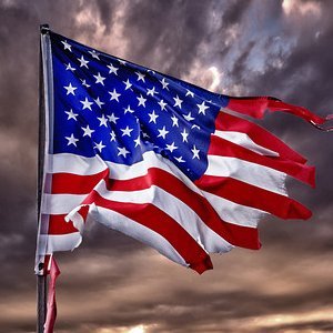 nedleary's profile picture. 