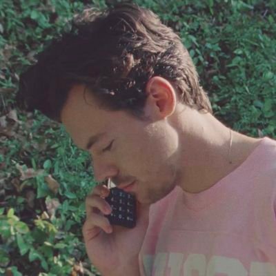 flowerykings's profile picture. still here.✧˚ larrie | ot4/5 | no stunts