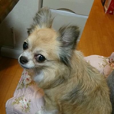 kiyotaka680227's profile picture. 120kg 将棋ウォーズ二段
最近は、嬉野流を勉強中。
宜しくお願いします。