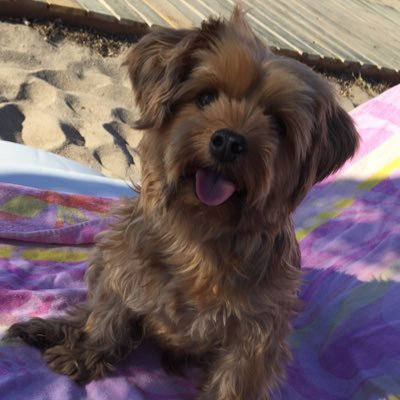 ilkay_gunel's profile picture. En büyük devrim Cumhuriyet en büyük devrimci MUSTAFA KEMAL ATATÜRK 🙏🇹🇷