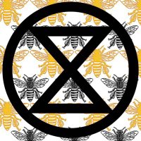 Extinction Rebellion Granada (@xrgranada) 's Twitter Profile