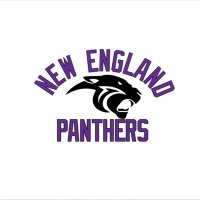 New England Panthers (@panthers_new) 's Twitter Profile