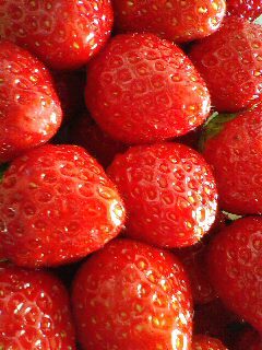 88ayubox88's profile picture. 