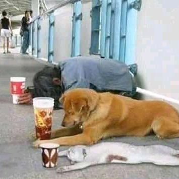 NathanN09364742's profile picture. Life is short