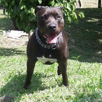Carlos Marín (@carlosm95352952) 's Twitter Profile