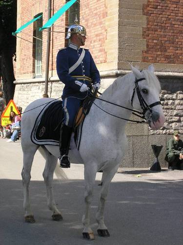 Wrackefeldt's profile picture. Political listener, brass band player. 
Social conservative.