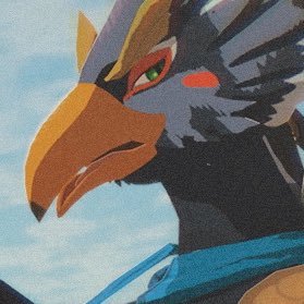 For he is Revali, the Rito touched by grandness.