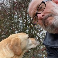 Trevor Trout (@trevortrout8) 's Twitter Profile