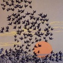 Pat King - @patsy_king - Twitter