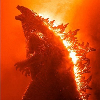 Cody44131841's profile picture. 