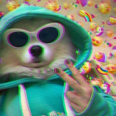 ᘜato Q E 𝕯oce O ҝit 𝕮at Biscoituk Twitter