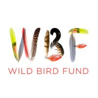 Wild Bird Fund(@wildbirdfund) 's Twitter Profile Photo