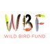 Wild Bird Fund (@wildbirdfund) Twitter profile photo Wild Bird Fund (@wildbirdfund) Twitter profile photo